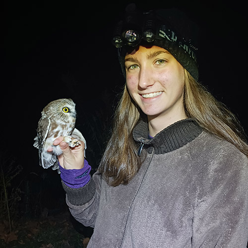 Lydia Pultorak holds a Northern Saw-Whet Owl
