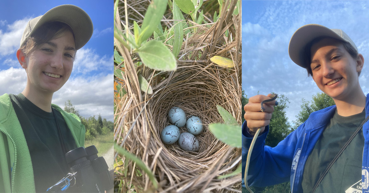 Lydia Pultorak holds a pair of binoculars while conducting a bird survey; a nest of red-winged black bird eggs; Lydia holds an eastern ribbon snake