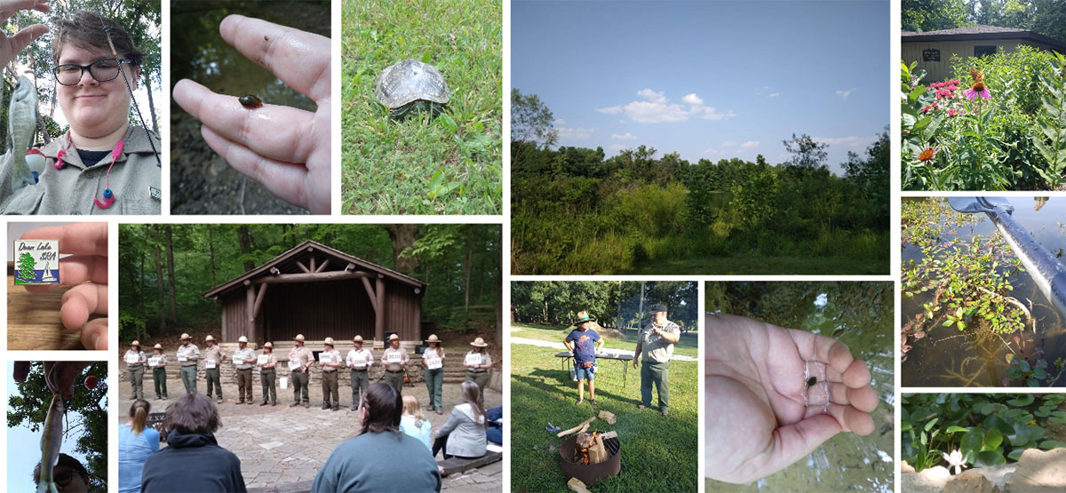 Top row (left to right): Ren Schiller holding a fish; Schiller holding a freshwater snail; a red-eared slider in the wild, found next to the Forest Education Center at Deam Lake; a view of the Deam Lake SRA, taken from one of the picnic areas; a butterfly drinking from a flower in front of the Deam Lake Forest Education Center. Row 2: A pin given to Deam Lake SRA Explore program participants; some floating primrose-willow in Deam Lake with a kayak paddle. Row 3: Schiller holding a shad caught by a participant in a fishing event; Senior Naturalists at training in May showing 100 years of naturalist services in the U.S.; Val, a volunteer, and Kevin, a manager, at the s'mores event; Schiller holding a tadpole; a water lily blooming in the pond in the back of the nature center.