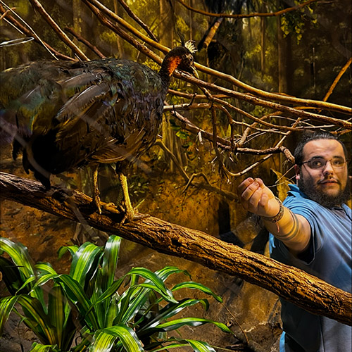 Andrew Reyes works on target training with female giraffes Asha (left) and Jasiri (right); Andrew presents his research findings to Brookfield Zoo board of directors.