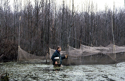 Dr. Joe Robb with duck traps