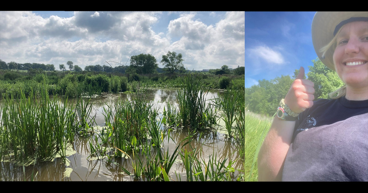 Kline Wetland after five inches of rain; Katie Schouten walking through the Kline Wetland with her employer taking notes on what plant species were present.