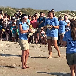 Sea turtle release from North Carolina internship.