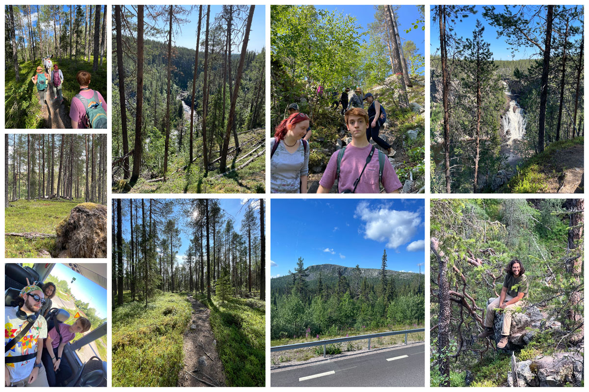 Views from Muddus National Park in Sweden, including students on the trail, a view of the river, a view of students climbing down the hill and a view of a waterfall. Row 2: a reindeer herd. Row 3: students on the bus; a path through the forest, a mountain in the distance and Jonathan Shimizu sitting on a rock