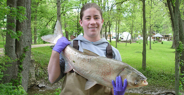 Dr. Alison Coulter holds a silver carp