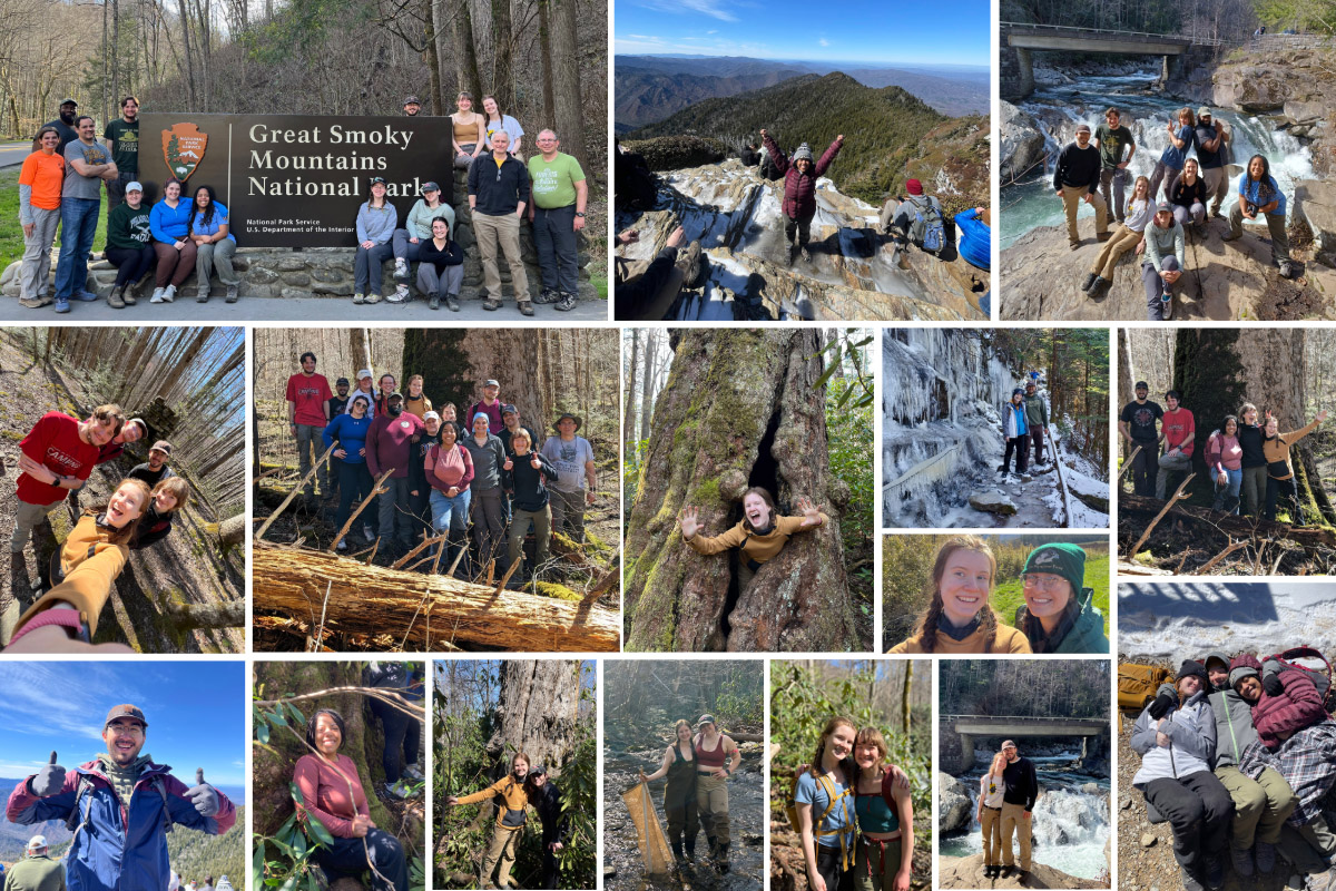 A collage of images of the students, faculty and speakers at the disturbance ecology practicum in the Great Smoky Mountains.