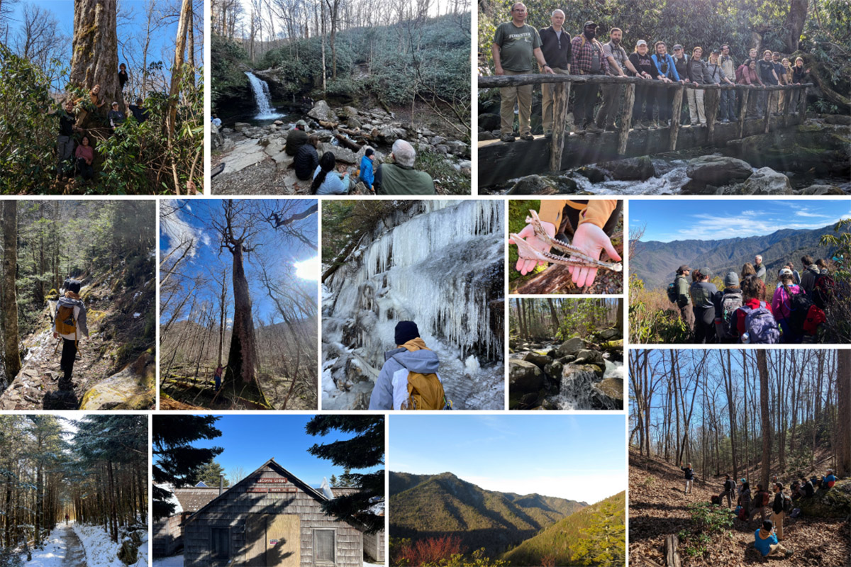 A collage of images of the various landscapes and ecosystems the group encountered in Great Smoky Mountain National Park