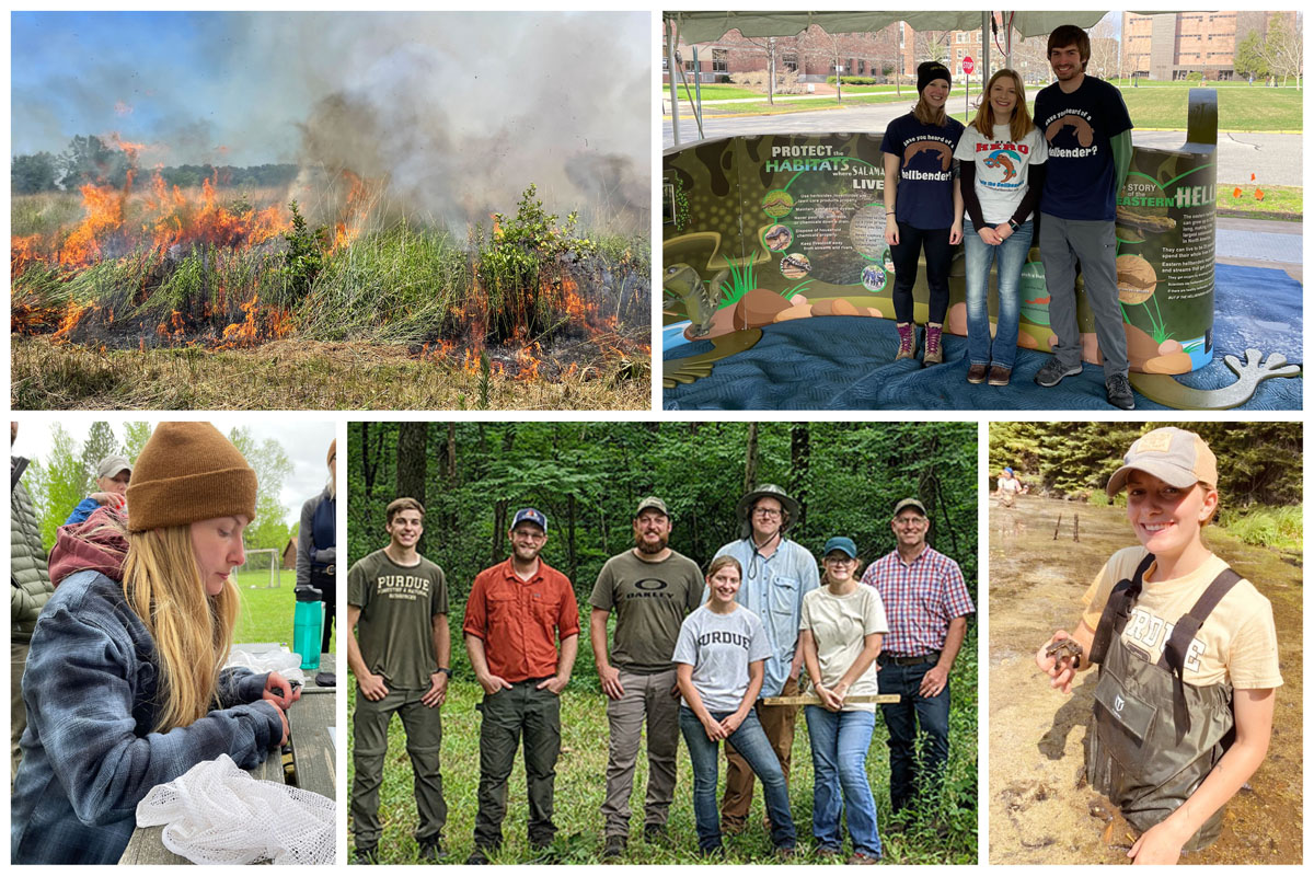 From upper left: Summer Brown took this photo at a prescribed burn this summer; Summer Brown at Springfest with the Hellbender educational display; Summer Brown doing turtle trapping at Summer Practicum; Summer Brown with her FNR coworkers at the Wednesdays in the Wild educational event ; Summer Brown tagging birds at Summer Practicum.