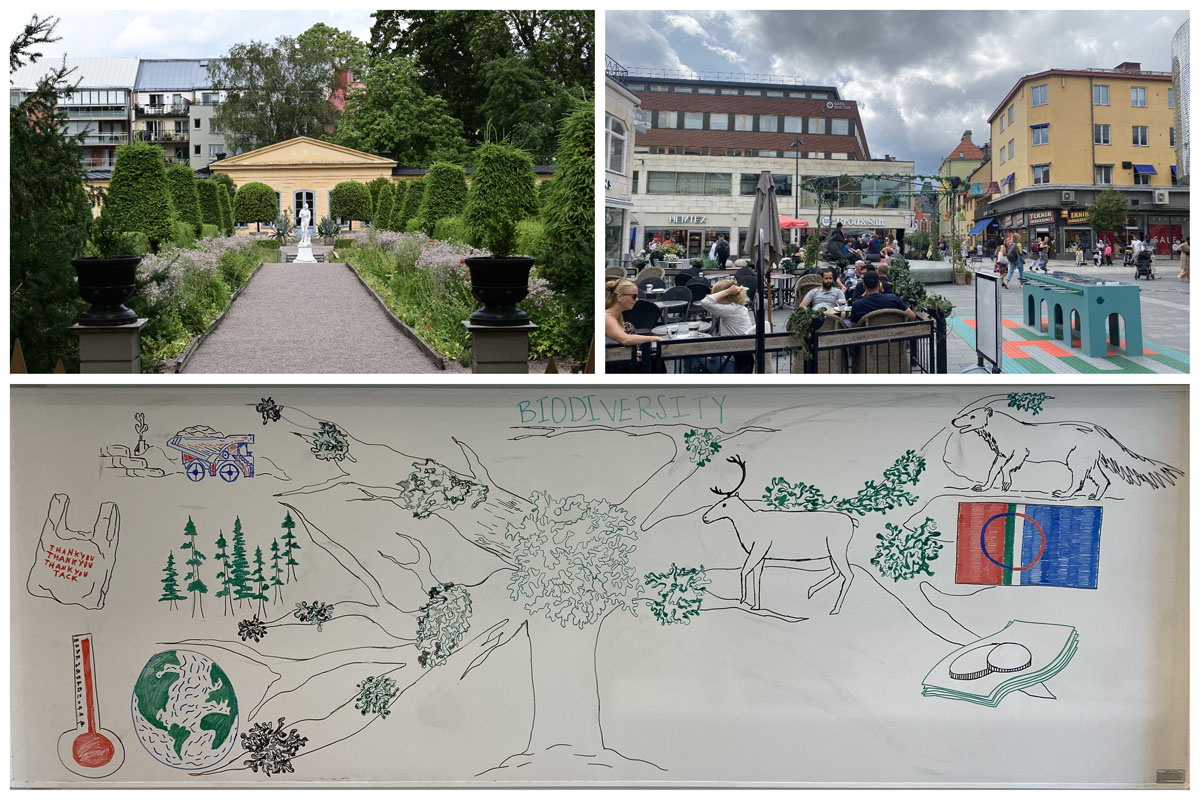 Linnaeus Gardens; one of the city squares in Uppsala; a drawing on a whiteboard showing the Biodiversity Management group's presentation
