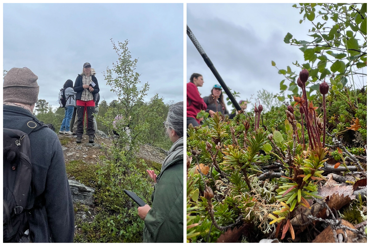 Photos from the Sweden study abroad group's hike up Puddus Mountain