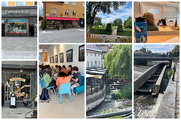 Scenes from Day 3 of the Sweden study abroad trip: From left - story fronts of Bonor and Blad as well as Nybryggt Cafe; a park; Dr. Tomas Hook teaching about hypoxia in a classroom setting; Row 2 - a store front of Bonor and Blad showing a bird; students eating lunch around a large table; water flowing near a cafe; a bridge with water flowing underneath