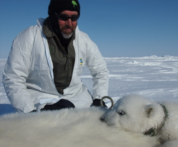 Todd Atwood with a polar bear cub