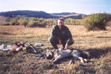 Todd kneeling next to wolf