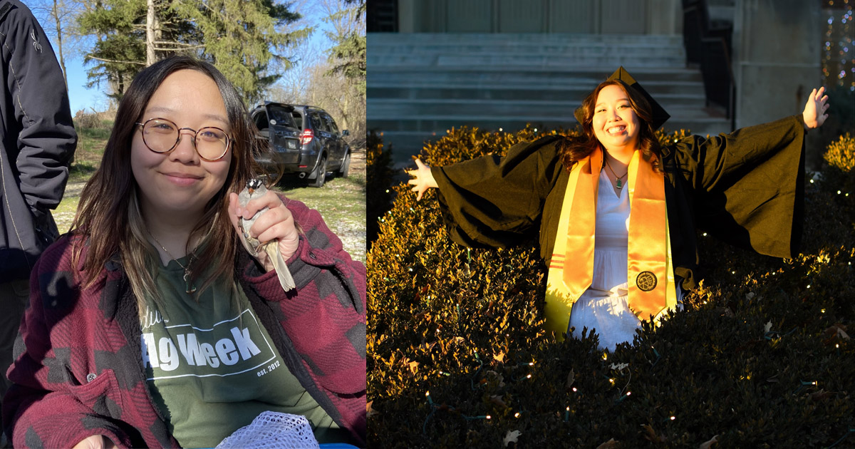 Tam Tran holds a white-crowned sparrow; Tran stands in the middle of a bush in her graduation gown
