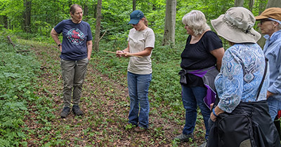 Lauren Laux demonstrates how to measure a tree from a distance