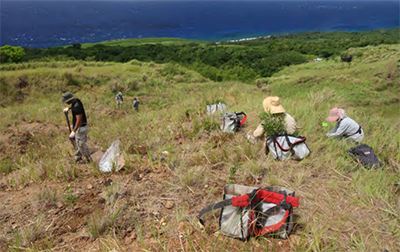 Planting site on degraded lands on Rota, Commonwealth of the Northern Marians. Reforestation here will help slow erosion and protect the reef.