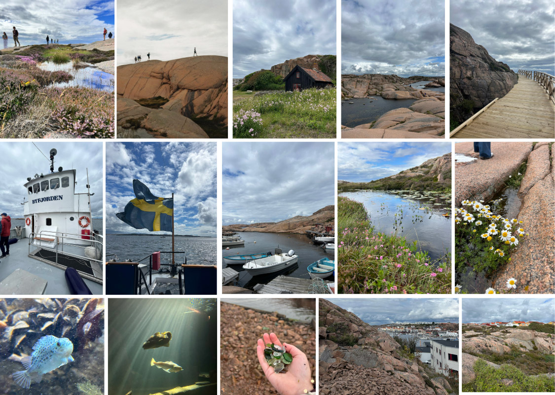 A collage of images from Week 3 of the Sweden Study Abroad trip, including stops at Havats Hus Aquarium, Lysekils Kyrka and Stangehuvuds naturreservat in Lysekil. 