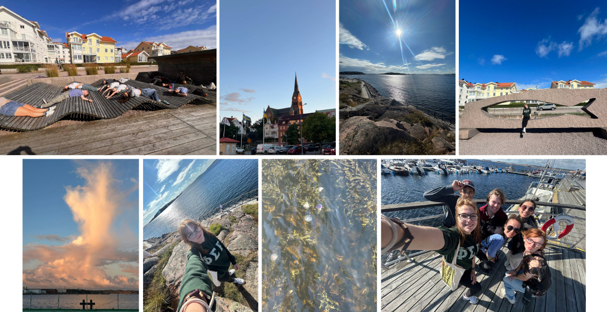 A collage of images from Week 2 of the Sweden Study Abroad trip. 