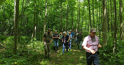 Hike through Stephens Forest