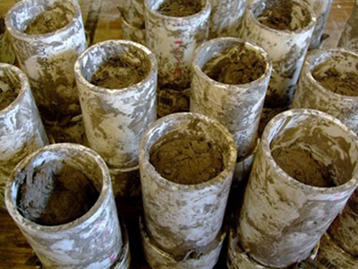 Several pipes filled with plant soil