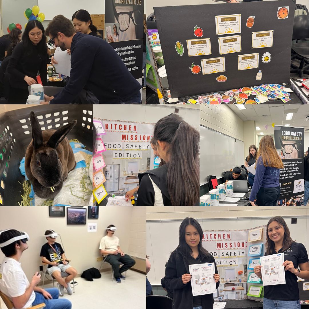 spring-Fest-2025