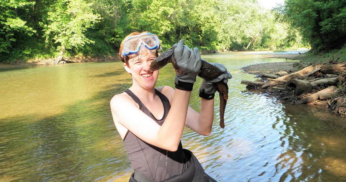 Emily McCallen holds an eastern hellbender salamander during her PhD research at Purdue. 