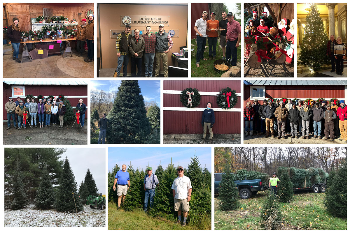 A collage of photos from Cassens Trees, a family tree farm run by Dr. Dan and Vicki Cassens. Top row (Left to right):  Cassens Trees shop with FNR students Amy Hanners, Cassidy Robinson, and Phoebe Habeck showing off their handiwork; Ed Oehlman, Dan Cassens, Logan Wells, and Damon McGuckin taking a tree from Cassens Trees to the Statehouse; Ed Oehlman, Logan Wells, Damon McGuckin, and Dan Cassens at a jambalaya cookout at Cassens Trees farm; Ed Oehlman, Damon McGuckin, Dan Cassens, and Logan Wells taking a sleigh ride in Cassens Trees barn; Dan and Vicki Cassens taking one of their big trees to the Statehouse Rotunda. Second row (L to R): 2019 Cassens Trees crew; Damon McGuckin with a large Concolor fir tree; Cassidy Robinson standing by two large wreaths; the 2022 Cassens Trees crew; Third row (L to R): Cassens Trees has large Fraser fir trees up to 20 feet tall; Alumni Jim Bradtmueller and Michael Triche vising Dan Cassens at Cassens Trees in the summer of 2022; Wyatt Crowel cutting some trees from Cassens Trees.