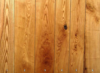Wood panels from a Kentucky coffeetree