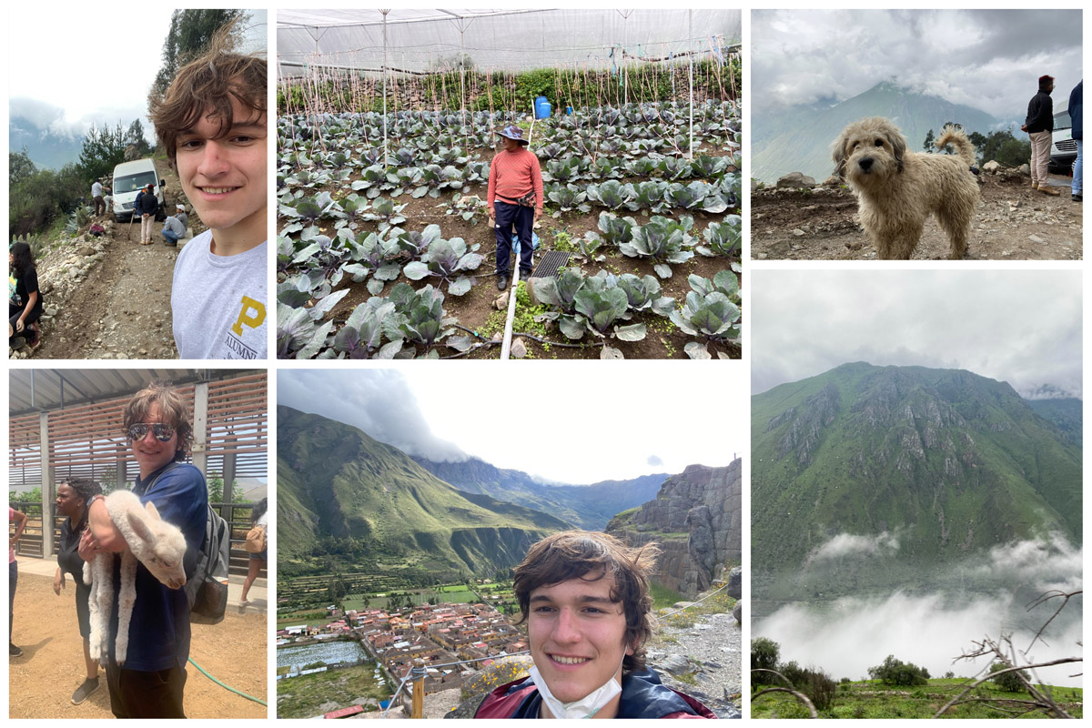 Collage of photos of Jack Dempsey in the Peru highlands - with the van stuck in the mud, with a baby alpaca and in front of the city of Ollantaytambo; also farmer Gustavo with his crops, the village dog in front of the mountain, and a view of a mountain surrounded by clouds