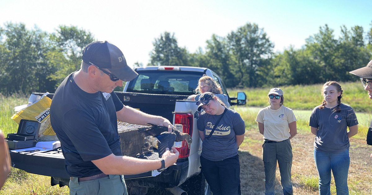 The FNR 465 class, taught by Jarred Brooke, traveling to LaSalle Fish and Wildlife Area to help band wood ducks, gain knowledge about managing a property for wildlife as well as get hands-on experience working with waterfowl. 