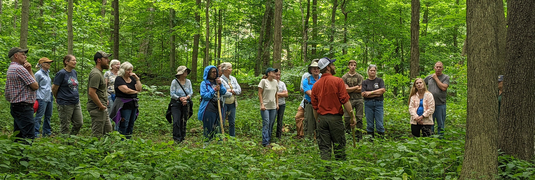 Wednesdays in the Wild Tour group in the woods at Stephens Forest