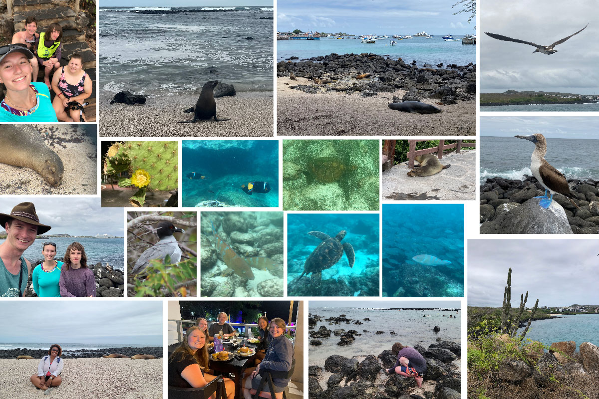 A collage of images from La Loberîa. Row 1: Members of the study abroad group sit on rock steps; a sea lions walks on the sand in front of foamy water; sea lions rest on the sand with a bay full of ships in the background; a blue-footed booby flies in a cloudy sky. Row 2: A sea lion sleeps in the sand; a prickly pear cactus (Opuntia species) with yellow flower; a king angelfish; a sea turtle; a sea lion resting on a stone walking path; a blue-footed booby stands atop a rock with a wave crashing in the background. Row 3: Members of the study abroad group in front of the bay with a cruise ship in the background; a swallow-tailed gull; a pair of blue-barred parrotfish; a sea turtle swimming; a parrotfish swims in front of a school of fish. Row 4: Megan Gunn sits on a beach with sea lions to her left and right; a group of students eats dinner; a student looks closely at the rocks in the bay; a cactus and rocks frame the bay. 