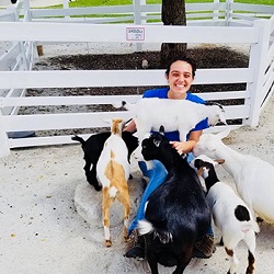 goats-during-a-shift-volunteering-at-columbian-park-zoo-fall-2017.