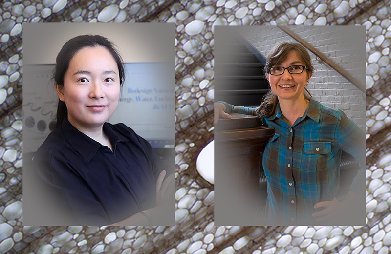 Dr. Tian Li & Dr. Eva Haviarova photos with background of section of balsa wood showing porous material.