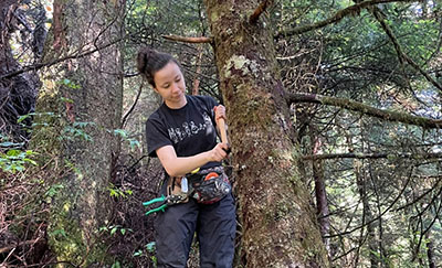 Tori Hongo tagging a tree