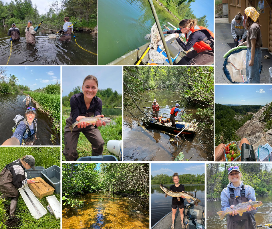 A collage of photos from Kraus' summer in Wisconsin. Top row (Left to right): Kraus and colleagues barge electrofishing; Kraus electrofishing on a boat; Kraus and a colleague at the Fish Up Close youth event. Row 2: Kruase wading down Little Plover River; Krause holding a brook trout; Kraus' colleagues boat electrofishing; Kraus taking in the view at Rib Mountain State Park. Row 3: Kraus working up a fish; a sampling site where Kraus and her team were looking for temperature loggers; Kraus holds a Northern Pike she caught fishing; Kraus holds a brown trout she caught while electrofishing. 