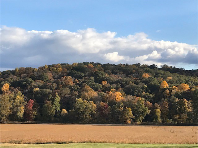 A view of the fields and forest on the Milnes Family Farm