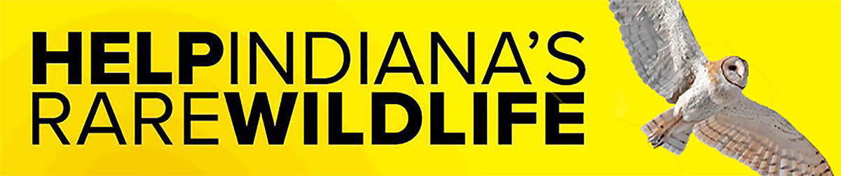 a yellow banner with a snow owl and the words help indiana's rare wildlife