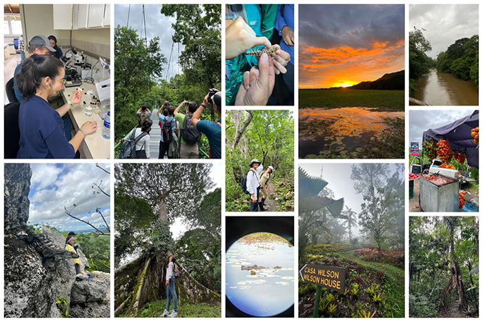 Photos of the people and places seen by Arlene Polar Pineiro while studying abroad in Costa Rica.