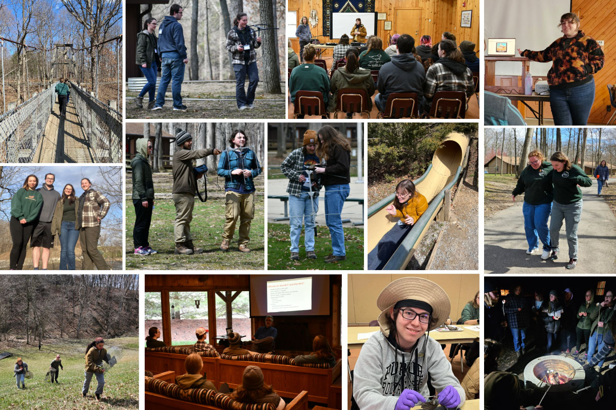 A collage of images from the TWS North Central Conclave. Top row (Left to Right): students cross a suspension bridge at Camp Tecumseh; students use radio telemetry equipment in the woods; Dr. Elizabeth Flaherty and Emma Johnson speak to students about radio telemetry; master's student Ramona Dwyer speaks at the event.  Row 2: Kyla, Tyson, Sonja, and Grace from Missouri Western pose for a photo in front of the lake; a group of students try their hand at radio telemetry; two students look at the radio telemetry device screen; a student goes down the playground slide; two students compete in the three-legged race. Row 3: Students race up a hill with wildlife traps; Dr. Pat Zollner presents to students about undergraduate research; a student works on wing pinning during a workshop; students gather around a fire pit roasting marshmallows. 