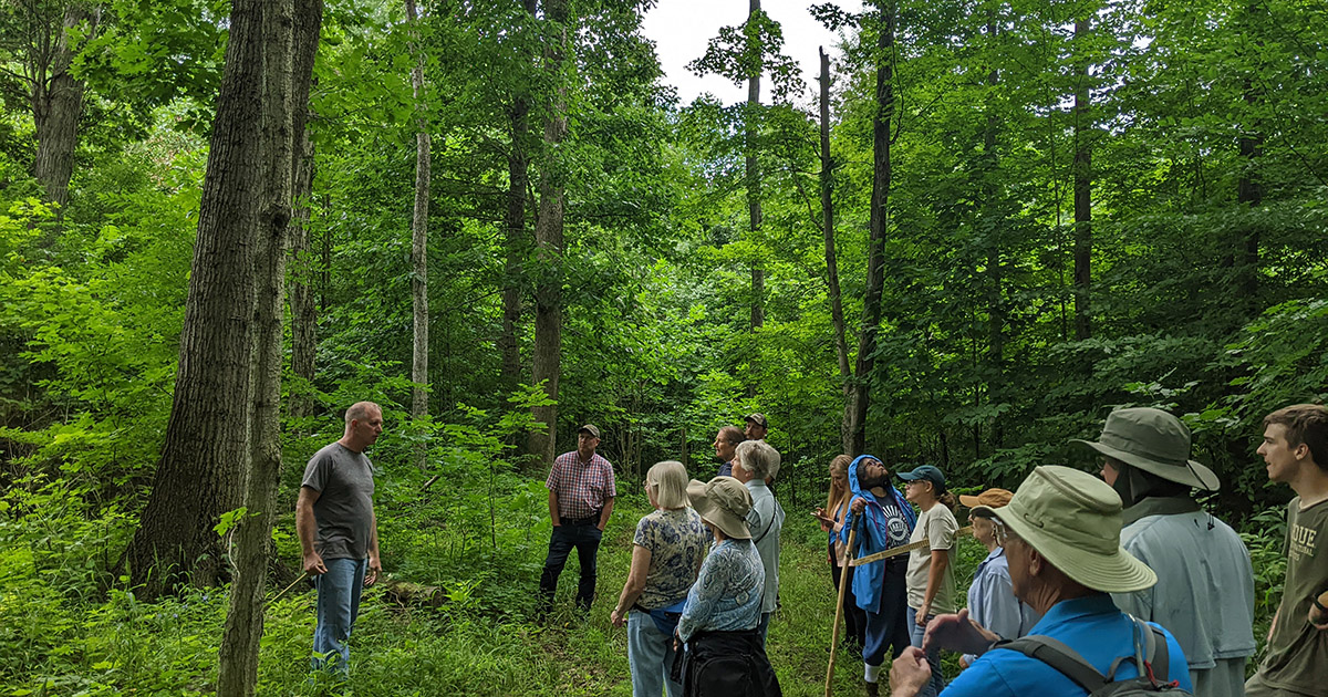 Wednesdays in the Wild attendees head about tree diversity, research, invasive species and timber marketing.