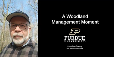 Woodland Management Moment series featuring Lenny Farlee