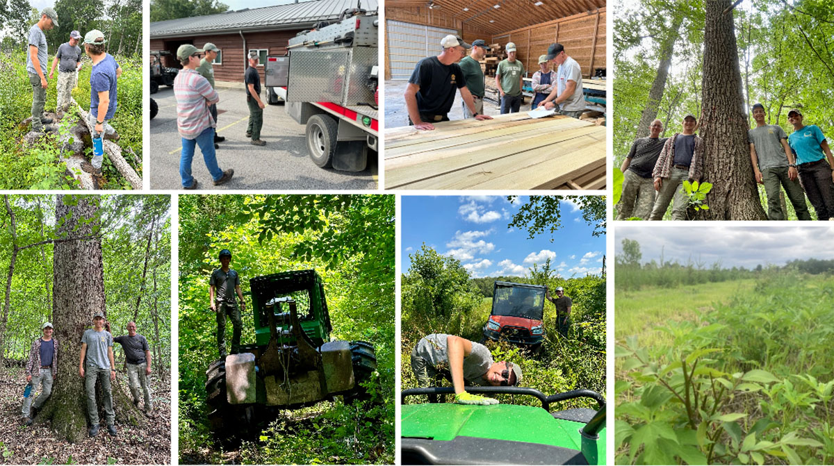 A collage of photos from Zane Smoldt's summer as a forestry intern. Top row (Left to right): Smoldt and Andrew Tucker learn from FNR forester Don Carlson about regeneration openings; Zane and Andrew touring the Indiana DNR fire headquarters; Zane and Andrew touring the lumber mill at Morgan-Monroe State Forest; Zane, Andrew and fellow intern Mikaela Agresta with FNR forester Don Carlson. Row 2: Andrew, Zane and Don Carlson; Zane on the back of a log skidder; Zane and Andrew working with UTVs doing invasive control work; a view of one of the FNR properties.