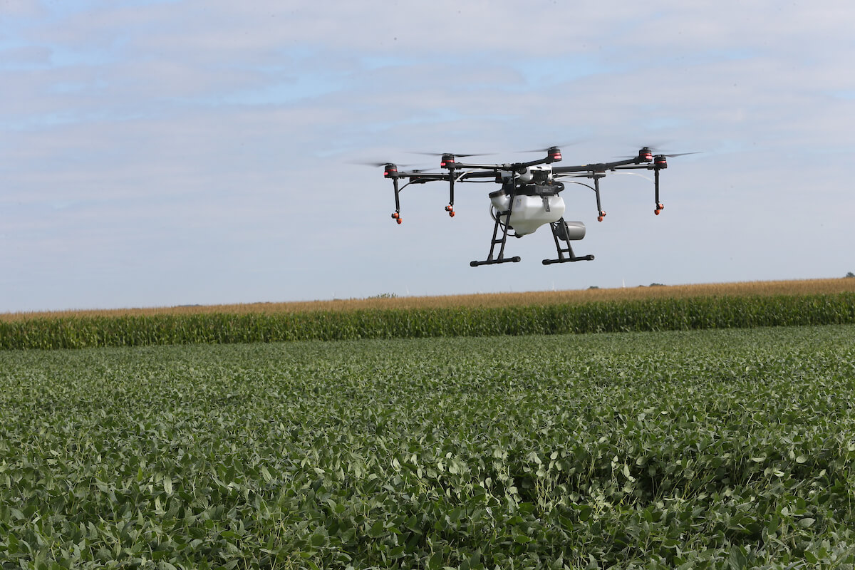 drone