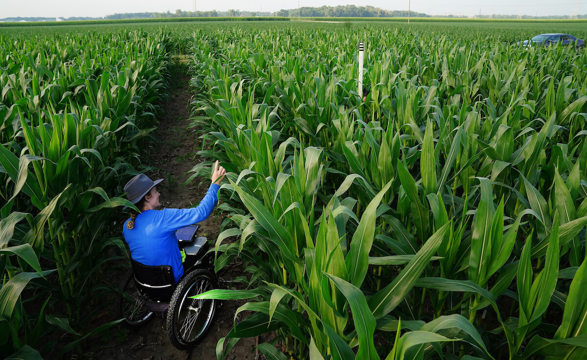 person in field
