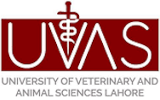 Image logo of University of Veterinary and Animal Sciences, Lahore-Pakistan