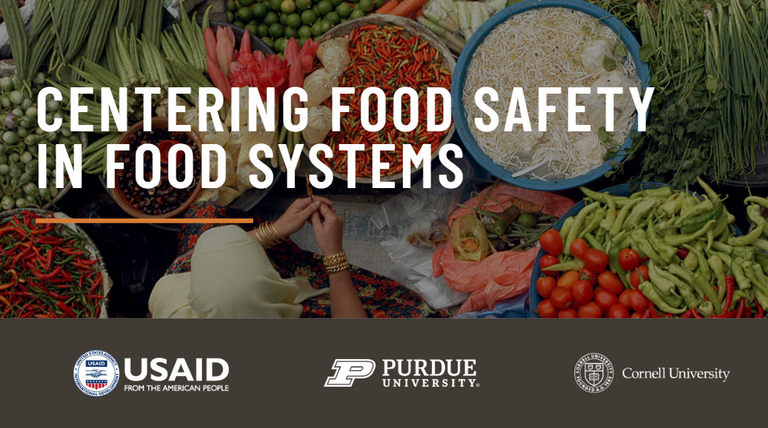 Data stewardship for global food safety research