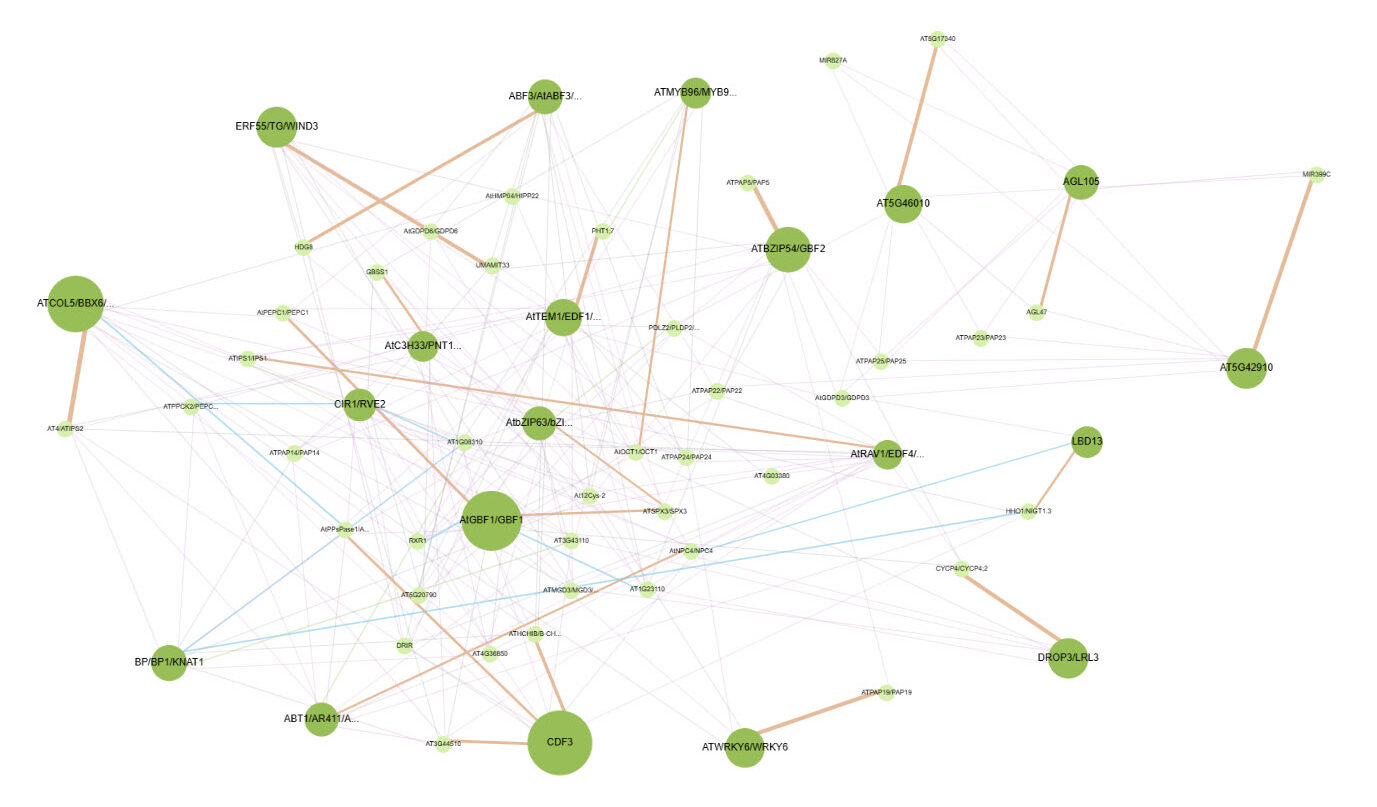 Interactive cytoscape visualization