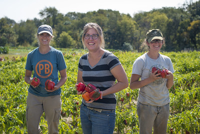 three women outdoors doing farming activities 