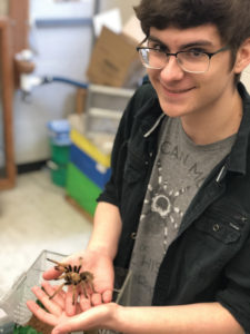 Man holding tarantula